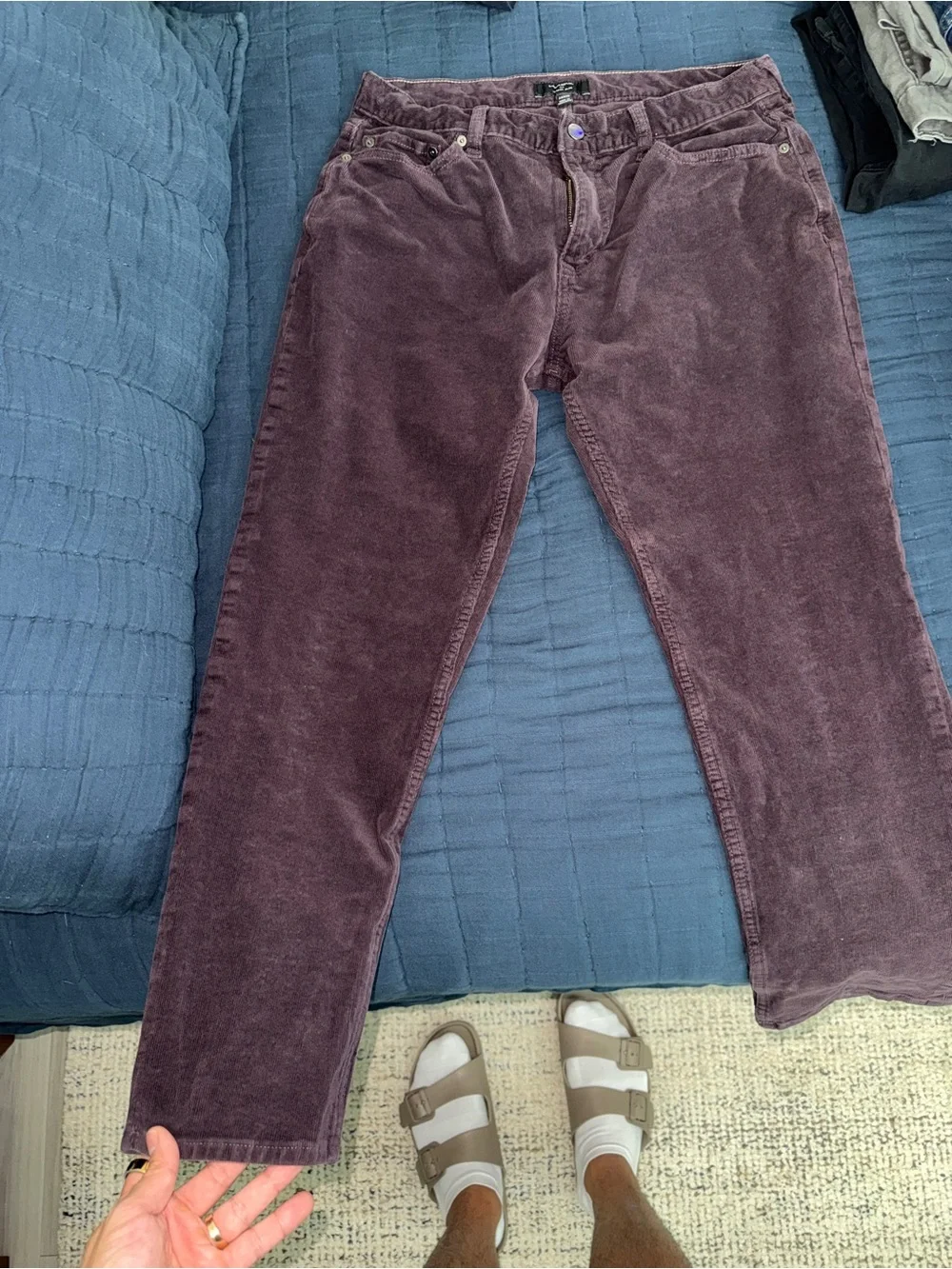 Banana Republic Slim Corduroy Pants in Plum